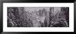 Yosemite Falls, California, Usa by Panoramic Images Limited Edition Pricing Art Print