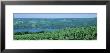 Vineyards, Keuka Lake, Finger Lakes, New York State, Usa by Panoramic Images Limited Edition Print