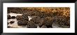 Giant's Causeway, Antrim Coast, Northern Ireland by Panoramic Images Limited Edition Print