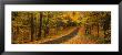 Autumn Road, Emery Park, New York State, Usa by Panoramic Images Limited Edition Pricing Art Print