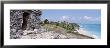 High Angle View Of The Beach, Tulum, Yucatan Peninsula, Mexico by Panoramic Images Limited Edition Print