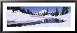 Snow On A Landscape, Mt. Rainier, Mt. Rainier National Park, Washington State, Usa by Panoramic Images Limited Edition Print