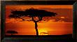 Masai Mara Plains, Kenya by James Urbach Limited Edition Print