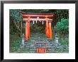 Kamikura Shrine, Shingu, Wakayama, Japan by Rob Tilley Limited Edition Print