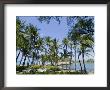 Waikaloa Beach, Island Of Hawaii (Big Island), Hawaii, Usa by Ethel Davies Limited Edition Pricing Art Print