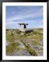 Poulnabrone Dolmen Portal Megalithic Tomb, The Burren, County Clare, Munster, Republic Of Ireland by Gary Cook Limited Edition Print