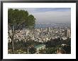 Elevated View Of City And Bay From Mount Carmel, Haifa, Israel, Middle East by Eitan Simanor Limited Edition Print