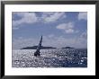 Sailboats, Coral Bay, St. John, Caribbean Sea by Jim Schwabel Limited Edition Print