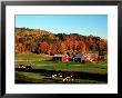 Autumn Colors And Farm Cows, Vermont, Usa by Charles Sleicher Limited Edition Print