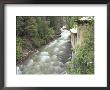 Old Power Plant On Sullivan Creek, Metaline Falls, Washington, Usa by Jamie & Judy Wild Limited Edition Print