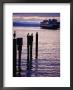 Wa State Ferry Coming In To Dock, Seattle, Washington, Usa by Lawrence Worcester Limited Edition Print