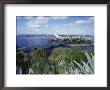 Bridge Over The Swan River, Perth, Western Australia, Australia by Loraine Wilson Limited Edition Print