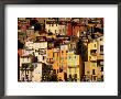 Colourful Houses Clustered On Hillside, Menton, Provence-Alpes-Cote D'azur, France by David Tomlinson Limited Edition Print
