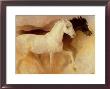 Wild Horses by Richard Murray Limited Edition Print