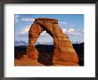 Delicate Arch In Arches National Monument, Utah, Arches National Park, Usa by Mark Newman Limited Edition Print