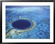 Large Coral Reefs Off The Coast Of Belize by Greg Johnston Limited Edition Print