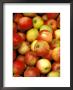 Apples, Ferry Building Farmer's Market, San Fransisco, California, Usa by Inger Hogstrom Limited Edition Print