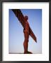 The Angel Of The North, Newcastle Upon Tyne, Tyne And Wear, England, United Kingdom by James Emmerson Limited Edition Print