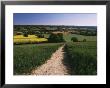 Footpath, Heaversham, Near Sevenoaks, North Downs, Kent, England, United Kingdom by David Hughes Limited Edition Print