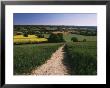 Footpath, Heaversham, Near Sevenoaks, North Downs, Kent, England, United Kingdom by David Hughes Limited Edition Pricing Art Print