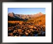 Thukela River And Amphitheatre, Northern Drakensberg, Royal Natal National Park, South Africa by Ariadne Van Zandbergen Limited Edition Print