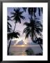 Sunset Framed By Palms, Patong, Phuket, Thailand, Southeast Asia, Aisa by Ruth Tomlinson Limited Edition Print