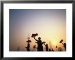 Morning Tai Chi Exercise In The Bund, Shanghai, China by Ray Laskowitz Limited Edition Print