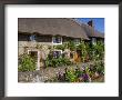 Thatched Cottage, Selsey, Sussex, England, United Kingdom by Charles Bowman Limited Edition Print