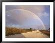 Rainbow Across A Blue Sky, Everglades, Florida by Sherwood Hoffman Limited Edition Print