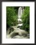 Waterfall Near Le Mont Dor, Auvergne, France by Michael Busselle Limited Edition Print