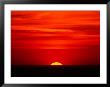 Sunset Over The Gulf Of Mexico, Florida, Usa by Charles Sleicher Limited Edition Pricing Art Print