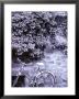 Bike And Wall, Heidelberg, Wurttemberg, Baden, Germany by Walter Bibikow Limited Edition Print