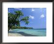 San San Beach, Port Antonio, Jamaica, West Indies, Central America by Sergio Pitamitz Limited Edition Print