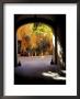 Courtyard Plants And Motorcycle, Rome, Italy by John & Lisa Merrill Limited Edition Print