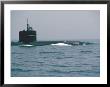 Nuclear Submarine, United States Navy by David Lomax Limited Edition Pricing Art Print