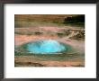 Geyser Erupting, Strokkur, Iceland by Yvette Cardozo Limited Edition Print