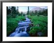 Agassiz Peak In The Distance, Stillwater Fork Of Bear River Drainage, High Uintas Wilderness, Utah by Scott T. Smith Limited Edition Print