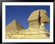 Sphinx And Great Pyramid, Egypt by Claudia Adams Limited Edition Pricing Art Print