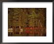 Reflections In Daicey Pond, Maine, Usa by Jerry & Marcy Monkman Limited Edition Print