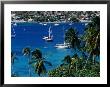 Yachts In Harbour, Port Elizabeth, St. Vincent & The Grenadines by Wayne Walton Limited Edition Print