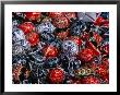Ornamental Moravian Eggs For Sale At Easter Market, Prague, Czech Republic by Richard Nebesky Limited Edition Print