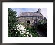 Stone Cottage, Ile D'ouessant, Finistere, Brittany, France by John Miller Limited Edition Print