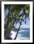 Puna (Black Sand) Beach, Island Of Hawaii (Big Island), Hawaii, Usa by Ethel Davies Limited Edition Print