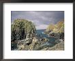 Mullion Cove, Cornwall, England by Nik Wheeler Limited Edition Print