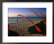 Inter-Continental Jimbaran Beach Resort In Bali, Bali, Indonesia by Alain Evrard Limited Edition Pricing Art Print