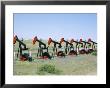 Oil Pumps (Nodding Donkeys) For Sale At Oilfield Supply Merchants, Shelby, Montana, Usa by Tony Waltham Limited Edition Print