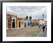 Oaxaca City, Oaxaca, Mexico, North America by R H Productions Limited Edition Print