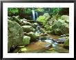 Grotto Falls, Great Smoky Mountains National Park, Tennessee, Usa by Rob Tilley Limited Edition Print