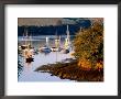 Boats On Kingsbridge Estuary At East Portlemouth, Evening, Salcombe, Devon, England by David Tomlinson Limited Edition Print