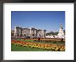 Buckingham Palace, London, England, United Kingdom by Charles Bowman Limited Edition Print